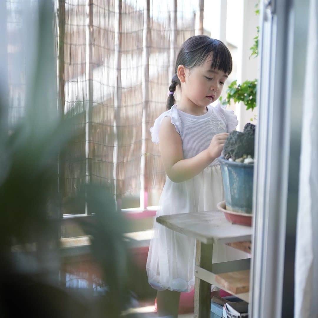 きりののインスタグラム：「祖父の盆栽を触る桐乃🌿  盆栽かわいいよね、触りたくなるよねわかる笑  朝に食べたチョコパンが口についたまま🤭  #4歳女の子  #子どものいる暮らし #子どもの日常をもっと写真に」