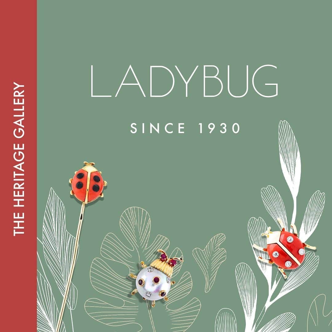 ヴァンクリーフ&アーペルさんのインスタグラム写真 - (ヴァンクリーフ&アーペルInstagram)「Since the 1930s, the ladybug has carried a message of luck and joy to Van Cleef & Arpels’ poetic garden.    Its stylized silhouette travels through the ages and lends itself to multiple variations, from delicate lucky charms to colorful gems.   #VCATheHeritageGallery #VanCleefArpels #Ladybug」8月20日 0時35分 - vancleefarpels