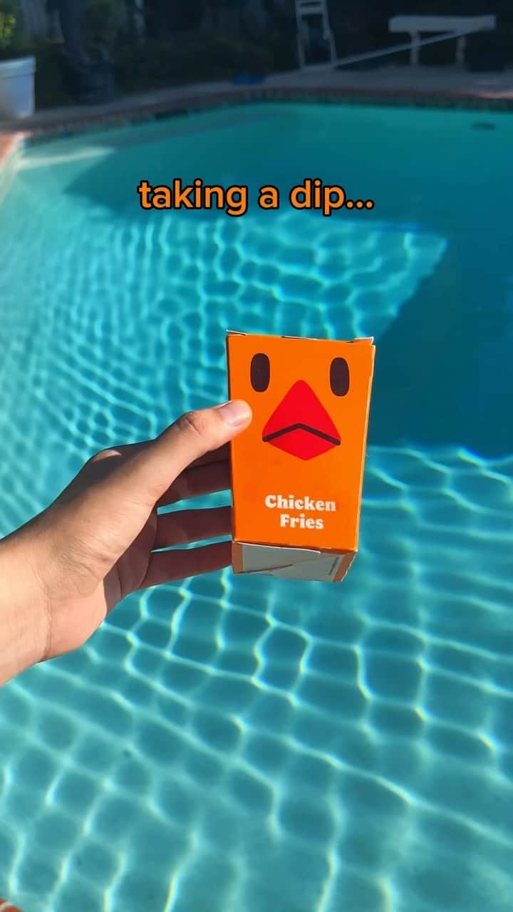 のインスタグラム：「would you take a dip with Chicken Fries?」