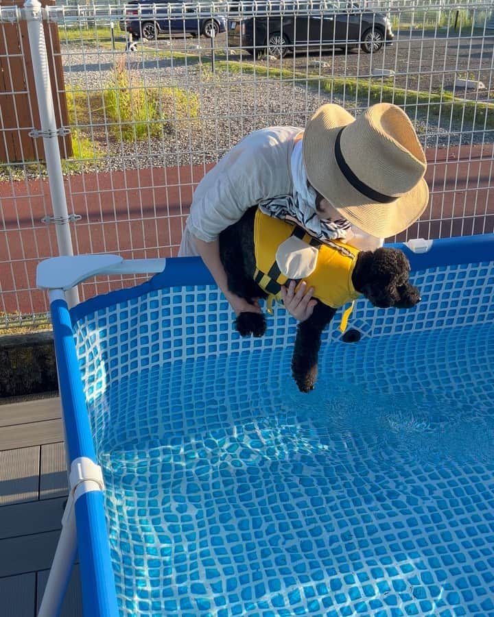 岸本加世子のインスタグラム：「殿くん初めてのプール。 故郷のグランピングに行ってきました。 @glampingportyui」