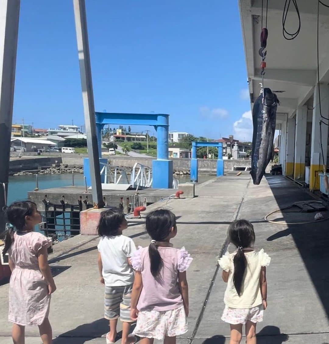 三浦奈保子さんのインスタグラム写真 - (三浦奈保子Instagram)「漁港では、 与那国島名産のカジキマグロが ちょうど挙がったところで！  ご親切な漁師さん方が 見学させてくださいました🥹✨  しっぽと長い口は、 冷蔵庫に入るように 釣り上げたらすぐ切ってしまうのだそう。  大迫力に、子供たち唖然..!  #与那国島　#離島　#与那国島最高　#自然体験 #子連れ旅　#生きた体験  #子育て　#子育て日記　#子育てママ #小学生　#幼稚園 #子どもとお出かけ  #家族でお出かけ #知育　#育脳　#勉強　#学習  #お出かけスポット #夏休み  #楽楽知育 #知育体験　#受験　#中学受験  #お出かけノート　#中学受験2025年組 #中学受験2026年組 #中学受験2027年組 #中学受験2028年組」8月20日 14時02分 - miura_naoko_