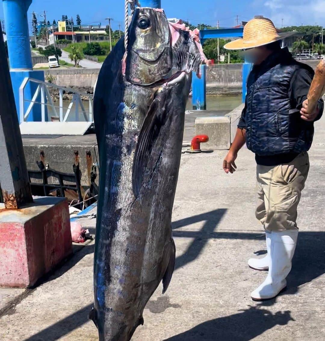 三浦奈保子のインスタグラム：「漁港では、 与那国島名産のカジキマグロが ちょうど挙がったところで！  ご親切な漁師さん方が 見学させてくださいました🥹✨  しっぽと長い口は、 冷蔵庫に入るように 釣り上げたらすぐ切ってしまうのだそう。  大迫力に、子供たち唖然..!  #与那国島　#離島　#与那国島最高　#自然体験 #子連れ旅　#生きた体験  #子育て　#子育て日記　#子育てママ #小学生　#幼稚園 #子どもとお出かけ  #家族でお出かけ #知育　#育脳　#勉強　#学習  #お出かけスポット #夏休み  #楽楽知育 #知育体験　#受験　#中学受験  #お出かけノート　#中学受験2025年組 #中学受験2026年組 #中学受験2027年組 #中学受験2028年組」