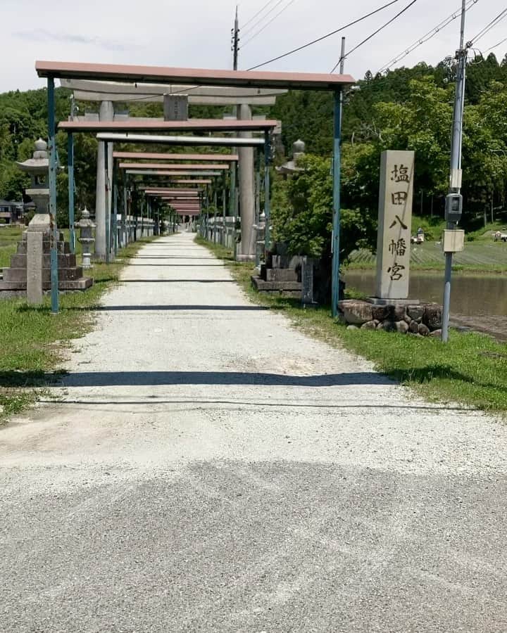 アイミのインスタグラム：「☆☆☆ 2023年6月4日 お誕生日当日は大雨だったため日を改めてお出かけ🚗  めんたいパーク前に塩田八幡宮へ🚗  #塩田八幡宮 #お参り #神社 #神社巡り  #夫婦デート」