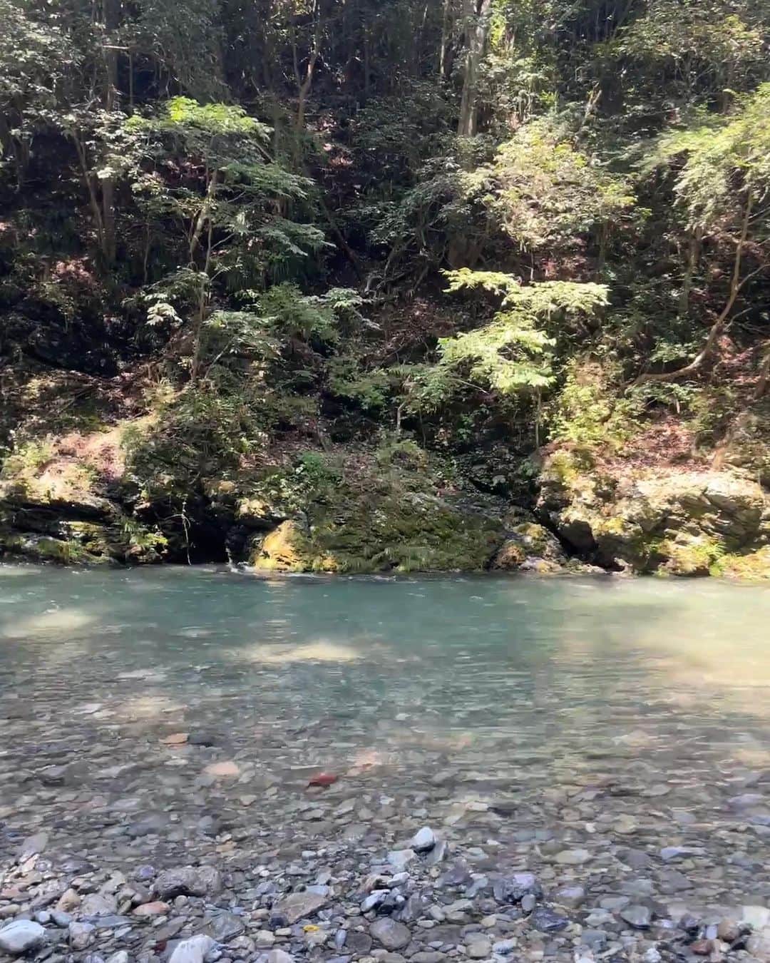 福田葉子さんのインスタグラム写真 - (福田葉子Instagram)「今年も行きました…「渓流どんぶらこ」。ここも東京だなんて毎回驚く。檜原村の秋川渓谷。 多摩川源流のなかで唯一上流にダムがない川。澄み切った川の水はキンキンに冷たくて鮎らしき魚影も。 タイヤチューブに乗って流れに身を任せてどんぶらこ、どんぶらこと川下り。それだけなのにすごく楽しい。檜原村の子ども達は昔から夏はこうして遊ぶのだそうだ。 終わったら檜原村名産のふかしたてのじゃがいもを、川に足を浸しながらいただきます。これがまたうめー。渓流チェアリングというらしい。 今年も最高でした。奇跡のようなこの川や山がこのまま守られますように。 #渓流どんぶらこ　#秋川渓谷　#東京裏山ベース　#川下り　#タイヤチューブで川下り #夏　#秋川　#檜原村　#渓流チェアリング　#fun #summer #エコツーリズム」8月20日 14時18分 - yoyoyokoko