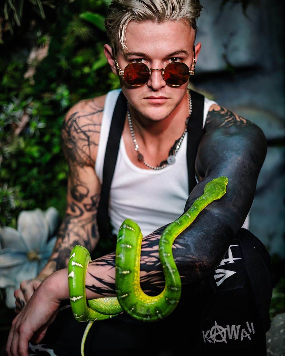 Ghastlyのインスタグラム：「Emerald tree boas have the largest non venomous fangs of all snakes, a bite from them is deep enough to cause nerve damage, but isn’t he cute!?」