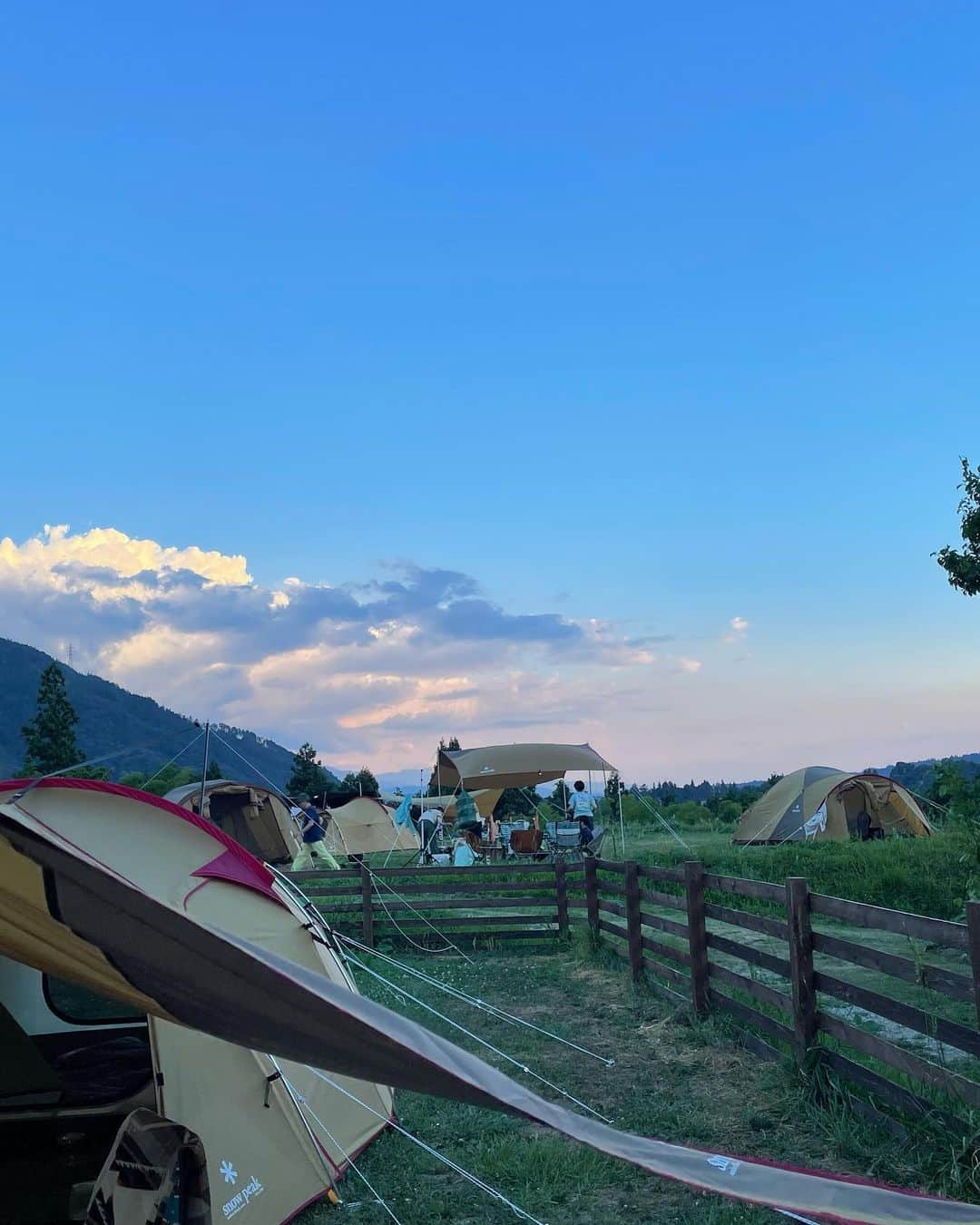 のインスタグラム：「夏休み☀️ のーんびり。  自然にかえる喜び。  その土地で採れた朝採れの野菜や果物は みずみずしくて 少し調理しただけで最高のご馳走になる。 キャンプの醍醐味🏕️  来年はまたワイワイみんなで行きたいな☺️  （いや、来年じゃなくても秋頃近場で行きたいなー）」