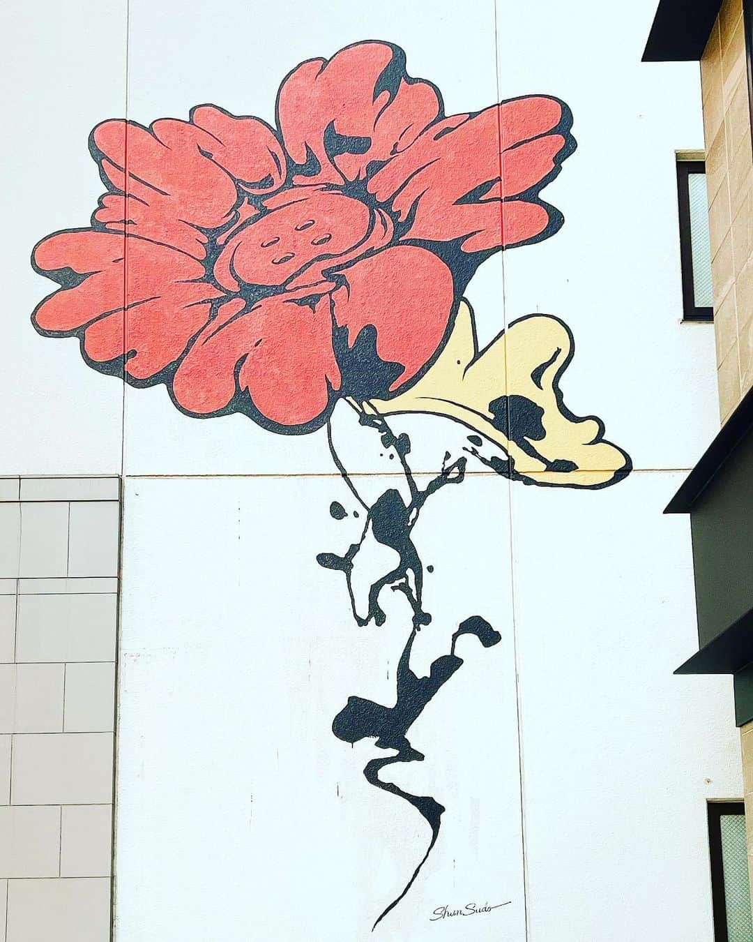YOKANのインスタグラム
