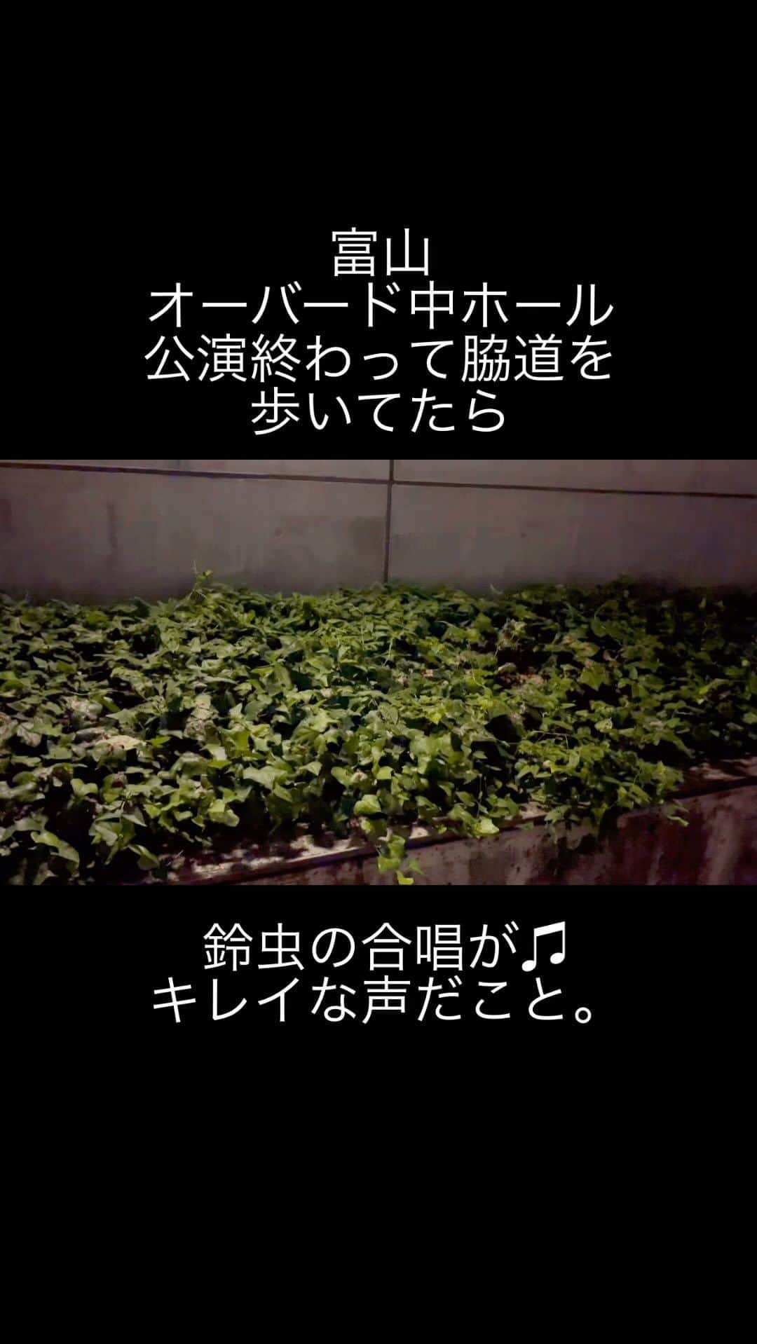 のインスタグラム