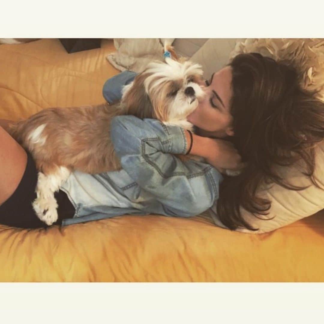 ステファニー・ブリットのインスタグラム：「Ela chegou na minha vida pq ela seria um presente pra uma pessoa! E aí a vida tratou logo de me mostrar que ela nunca seria de ninguém, a não ser minha! Sabe quando vc planeja e tudo dá errado? Foi assim com tudo q planejei em relação a ela e a tal pessoa! Graças a Deus! O “errado” muitas vezes é Deus nos mostrando o melhor caminho! Ela sempre foi minha, da minha família!!! Chegou bravinha e cheia de personalidade! Teve os filhotes mais lindos desse mundo e virou uma mamãe muito dengosa! Foi uma guerreira nos últimos dias e só nós sabemos o quanto ela lutou pra ficar bem!!! Não tenho a menor dúvida q ela se manteve firme pois estava esperando meus pais melhorarem! Já estava internada qdo meu pai tb teve que ficar internado! Eu sei da ligação dela com eles e sabia q ela jamais iria embora sem antes se despedir deles. Meu pai saiu do hospital, meus pais foram juntos visitar ela e no dia seguinte ela partiu!! ❤️ Mesmo no auge dos 15 aninhos, doente, com um quadro cheio de complicações e nós conscientes do estado, dói e muito! O que me conforta é ter q certeza absoluta que ela está livre de qq limitacao… está respirando livre com os filhos dela! Já encontrou a Thekinha e hoje vai ter festa no céu!!!! 🙏🏼Aqui fica o nó na garganta mas muita gratidão pelo tempo em que passamos com essa alminha tão linda!!! ❤️ . Mãe/Pai obrigada por tanto amor, carinho, cuidado sempre com nossa Vidinha!!」