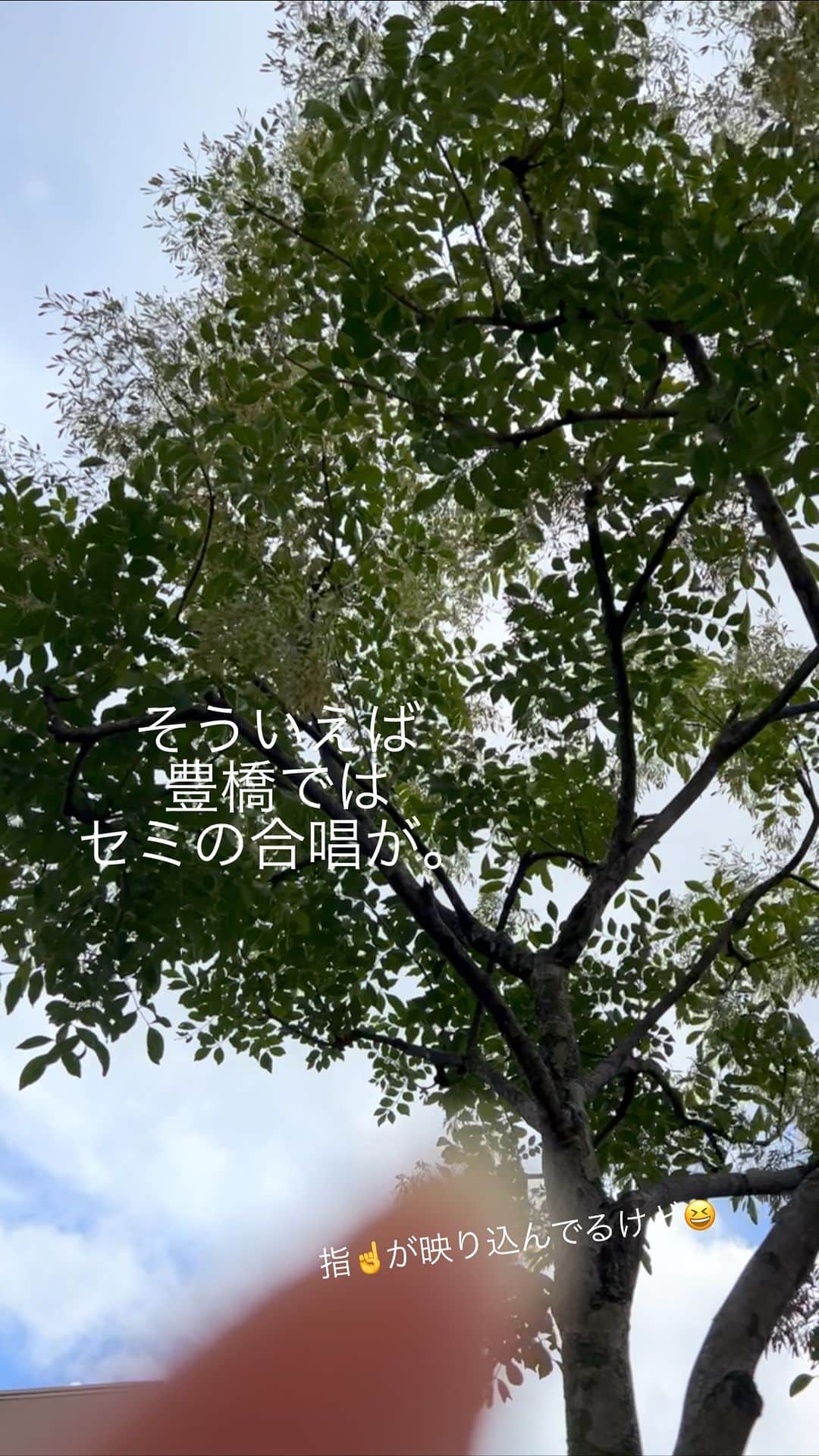 のインスタグラム