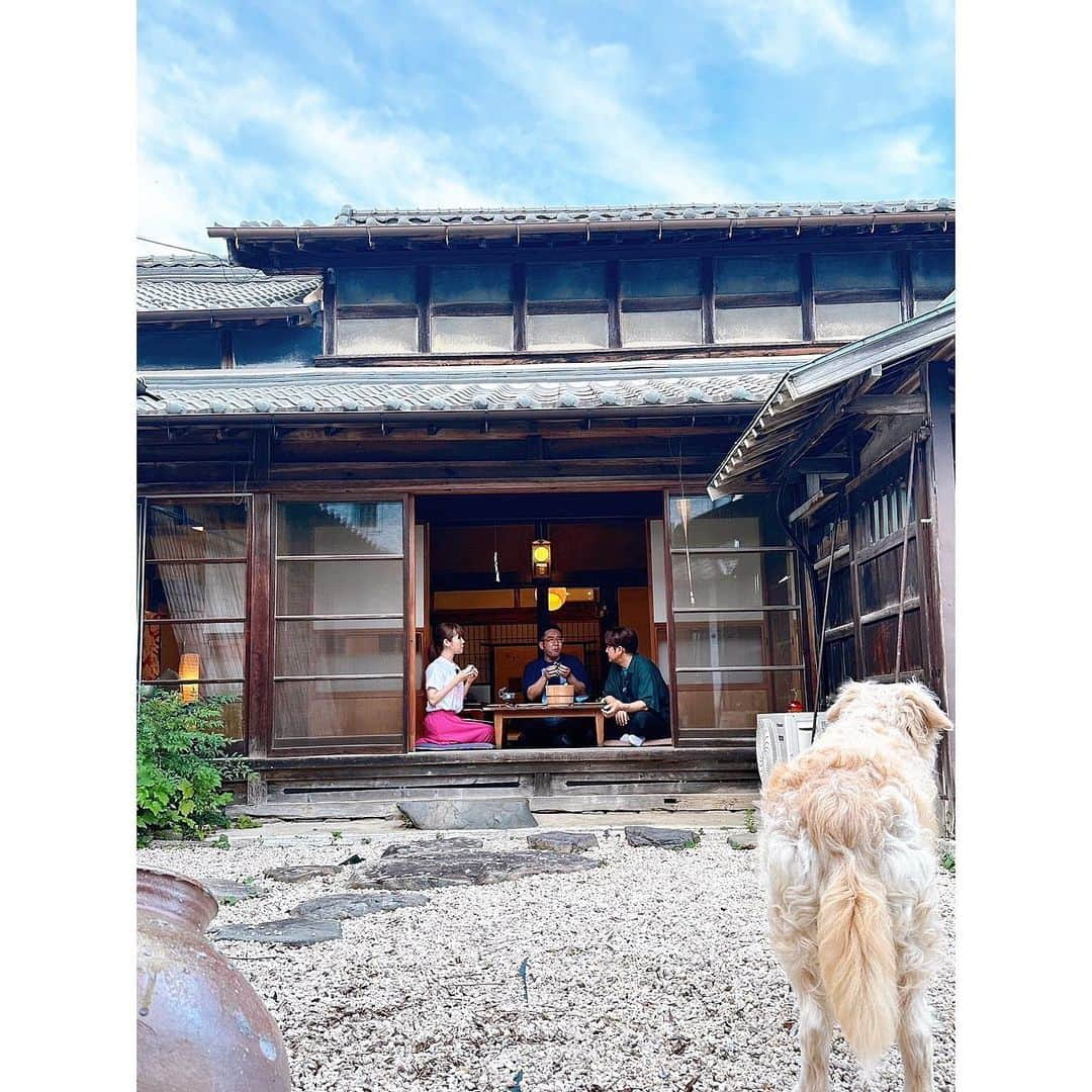 森夏美のインスタグラム：「. 夏の終わりの、日帰り旅🎐  初めて来たのにどこか懐かしい風景。 蝉の鳴き声、縁側でおむすび、数年ぶりの手持ち花火。  日本の夏を全身で感じました☺️🍵  #タイチサン #夏休み #日帰り旅 #三重県 #いなべ市 #夏の思い出  #東海テレビ #アナウンサー #森夏美」