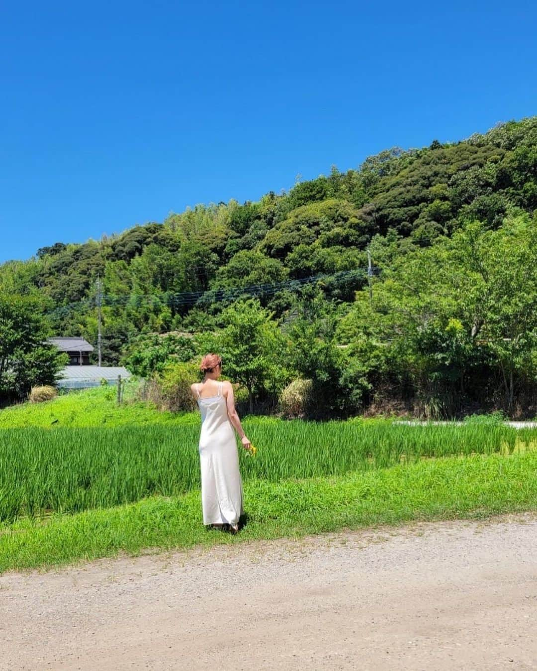 野々宮ミカさんのインスタグラム写真 - (野々宮ミカInstagram)「. おはようございます☺️☺️ 今日もいい日になりますように🌻  #おはよう #gm #ひまわり #夏 #summer #夏コーデ」8月20日 10時51分 - nonomiyamika