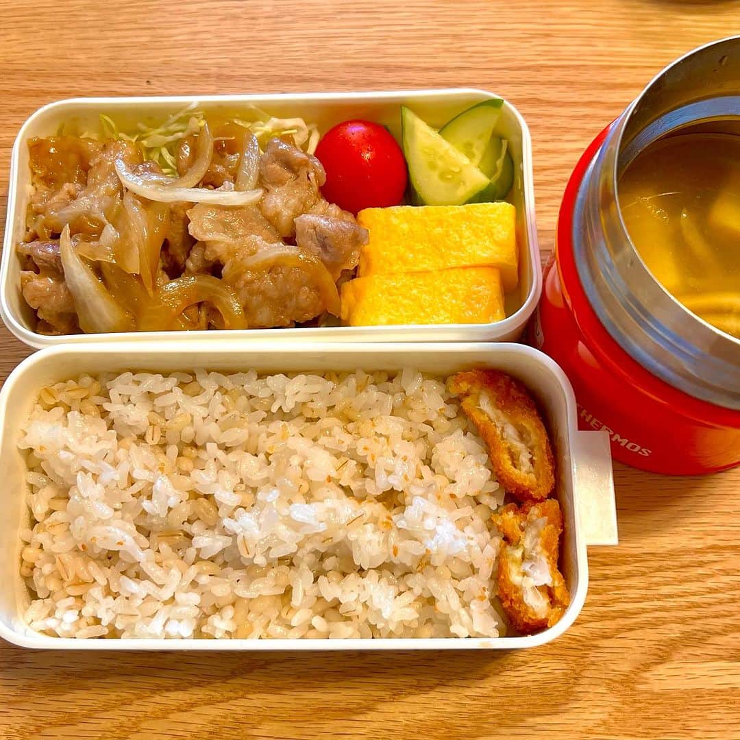 竹井亮介のインスタグラム：「2023年8月20日。 長女用お弁当。 豚のしょうが焼き、たまごやき、千切りキャベツ、トマト、きゅうり、麦ごはん、白身魚フライ（冷食）。お豆腐とワカメの長ネギのお味噌汁。 #とっつぁん料理」