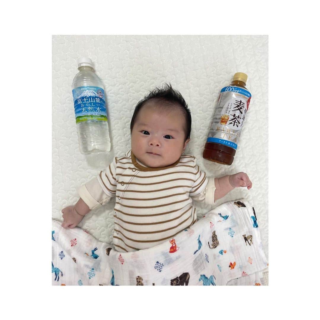 淺井咲希さんのインスタグラム写真 - (淺井咲希Instagram)「暑い日が続いているから水分補給大事✨ ミルクをつくるのにも使っています！  (@pokkasapporo )さん いつもありがとうございます🙇🏻‍♀️🙇🏻‍♀️  #ポッカサッポロ」8月20日 11時44分 - asaisakidesu