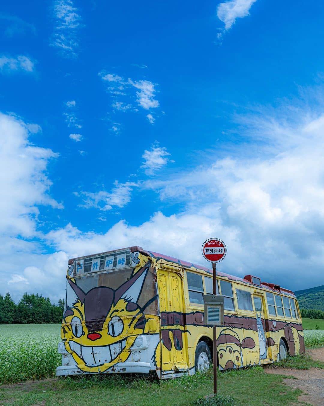 楽天トラベル さんのインスタグラム写真 - (楽天トラベル Instagram)「投稿を保存して見返してね😊 毎日おすすめの観光スポットやホテルを紹介している 楽天トラベル💚 👉@rakutentravel  ーーーーーーーーーーーーー  本日は、北海道にあるネコバスを紹介します🐱🚌 「となりのトトロ」では子どもにしか見ることができないネコバスも ここだと大人も見れちゃいます👀  北海道の広大な自然風景にピッタリのネコバスを一度は見てみたい🐈  ーーーーーーーーーーーーー  📍#トトロ峠 北海道深川市  Special Thanks💓📸Photo by @haiirohosororisu  ーーーーーーーーーーーーー  #rakutentravel をつけて投稿してくだされば、 あなたの撮った写真が楽天トラベルアカウントに掲載されるかも👀  旅の計画に夢中になれるインスタマガジン👜 楽天トラベルをフォローして理想の旅をみつけてね🛫@rakutentravel  いってみたいと思った人は気軽にコメント欄にスタンプ送ってね💕  ーーーーーーーーーーーーー」8月20日 18時00分 - rakutentravel
