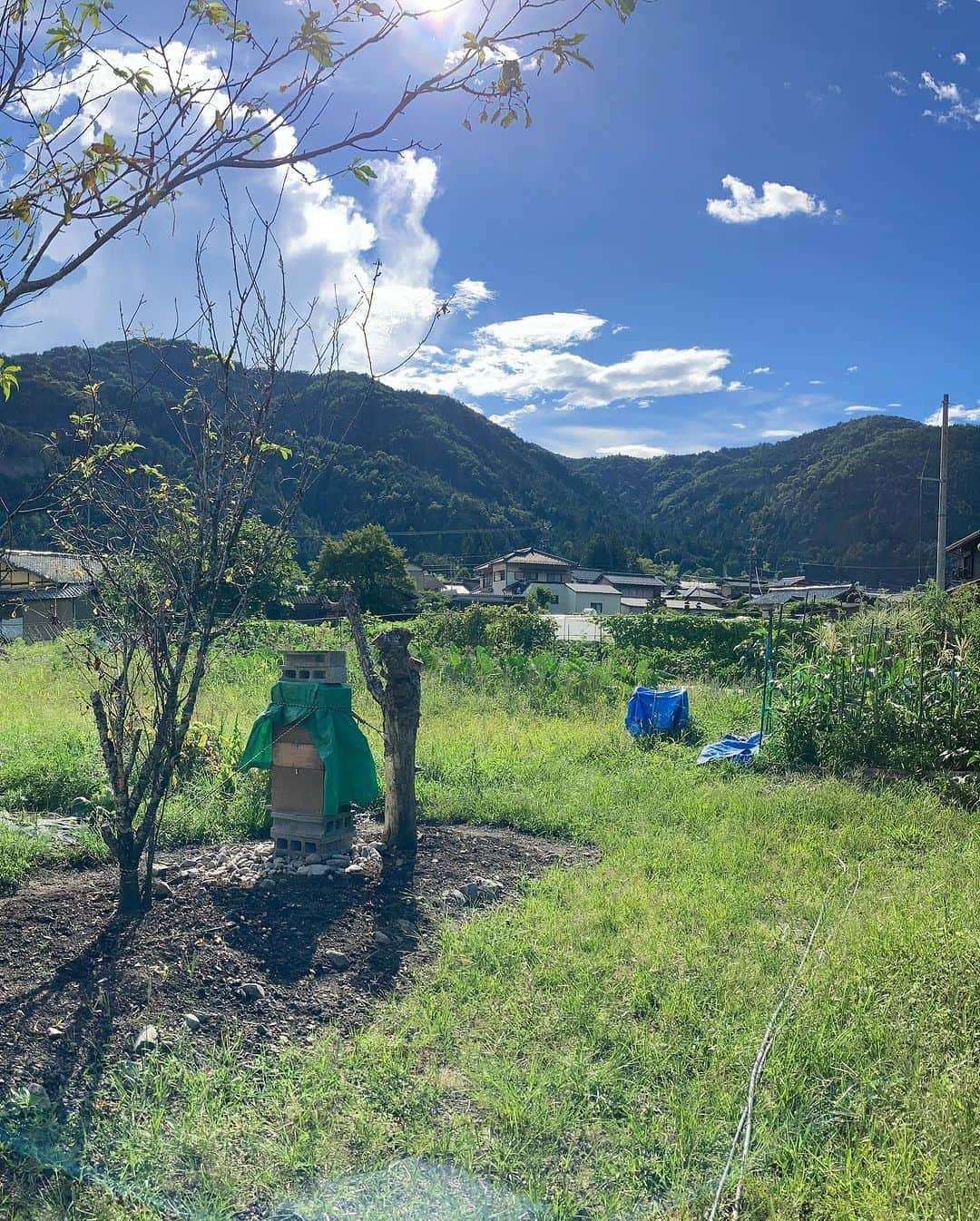 坪井慶介さんのインスタグラム写真 - (坪井慶介Instagram)「夏休み🌞 お盆に下の子達連れて、岐阜の実家へ🚅 山、川、畑と普段は出来ない遊びに子供達遊び回りました…親父も😁  娘、初の付知川🏞冷たさにビビってました😂 息子、飛び込み、火の番人、鮎見守り👍 親父、どこに行っても全力おじさん！！  #夏休み  #お盆休み  #岐阜県  #中津川市  #付知町  #実家  #田んぼ は近所の方のです😁 #タンボウズ  #山道  #山坊主  #付知川  #川坊主  #冷たーい  #娘ビックリ  #ムスメツボイ  #おじいちゃんとまご  #鮎の塩焼き  #火の番人 息子 #ムスコツボイ  #オヤジツボイ  #全力中年  #日本酒🍶  #ニホンシュボイ  #日本刀 と書いて #かたな  #花の舞酒造」8月20日 12時25分 - keisuke_tsuboi0916