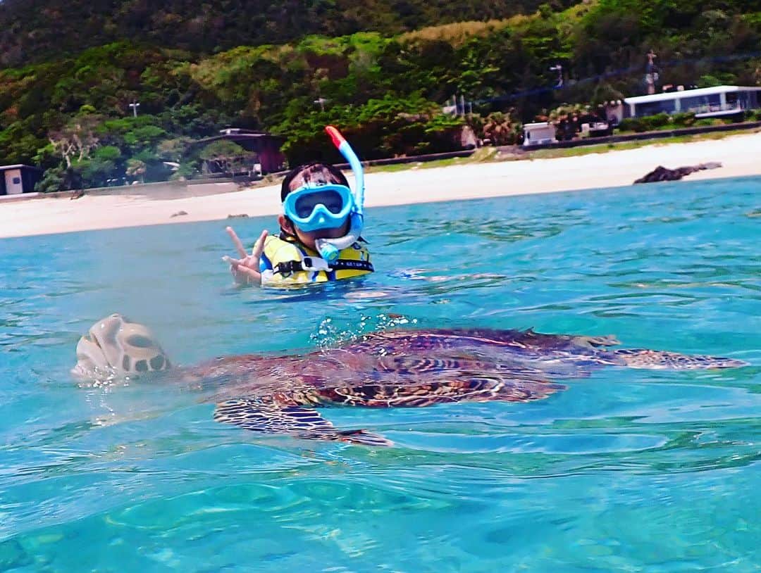 森本千絵さんのインスタグラム写真 - (森本千絵Instagram)「むすめ 初のシュノーケルにて 海亀親子と泳ぐ。  奄美大島の海すごすぎ。  このポストカードや貸しポジみたいな海亀の写真は その場で水中で撮影したものです。 凄すぎて爆笑しました。」8月20日 12時46分 - chiemorimoto_goen