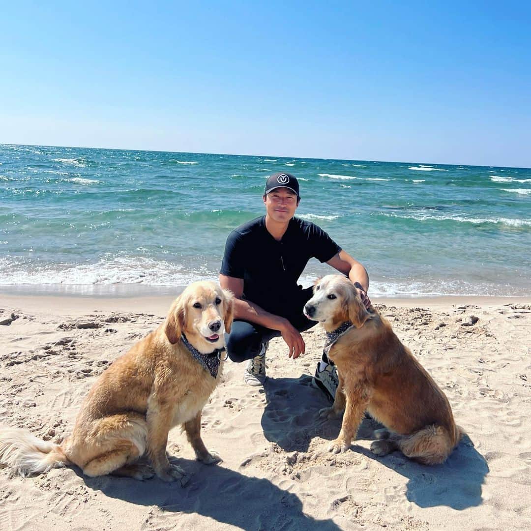 ダニエル・ヘニーのインスタグラム：「Sandy paws 🐾」