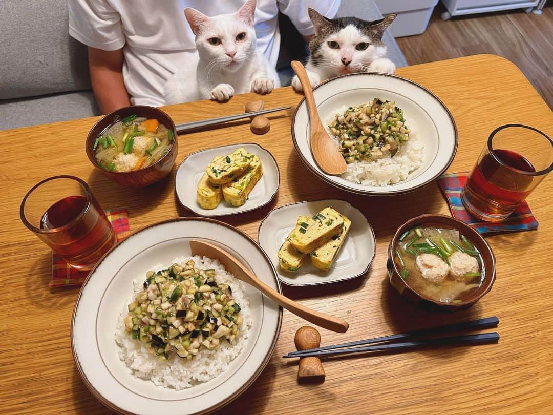 八、おこめのインスタグラム：「今日は暑すぎたっ😵💦 さっぱり美味しい〜だし丼♡ 無心でお野菜刻んだ。 胡瓜、茄子、みょうが、大葉、オクラ 山芋も入れてネバネバ増し↑↑↑ あと鶏肉団子汁、玉子焼き♩ いっぱい作ったから明日は納豆足しておうどんにかける✨ #だし #山形郷土料理 #だし丼 #夏野菜 #八おこめ食べ物 #八おこめ #ねこ部 #cat #ねこ #猫 #ネコ」