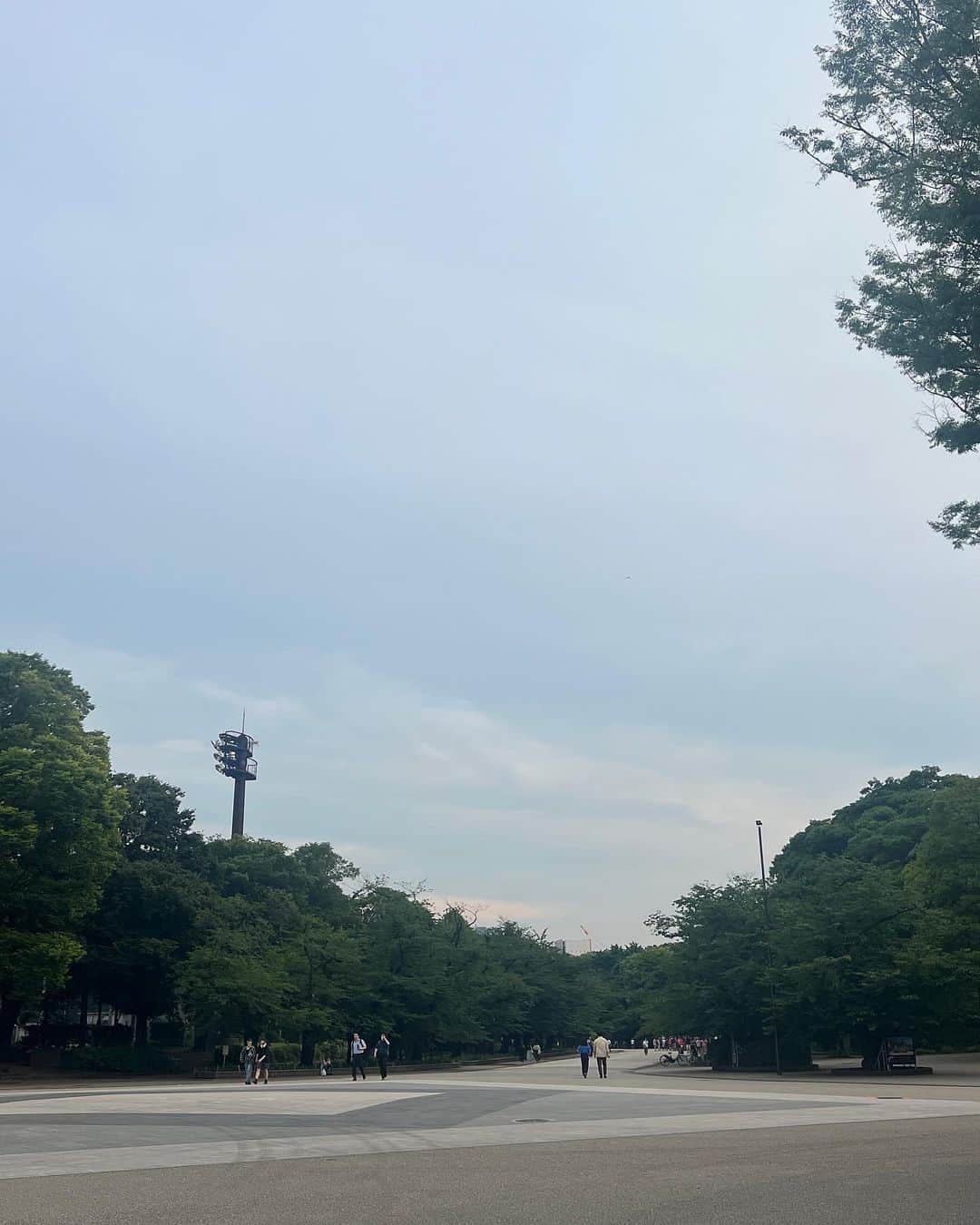 古屋美咲のインスタグラム：「色々な思い出🌳」