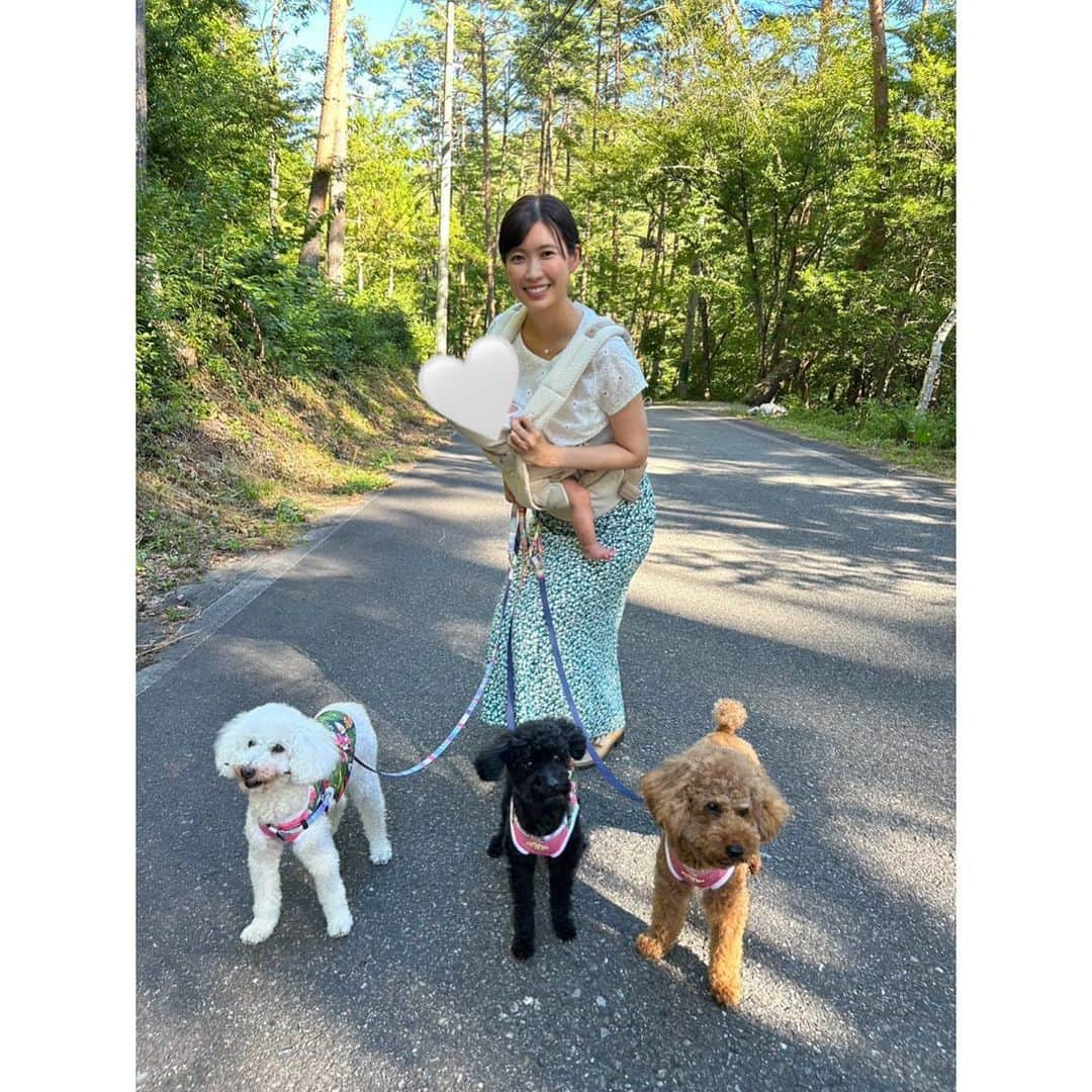 玉巻映美さんのインスタグラム写真 - (玉巻映美Instagram)「. 夏の思い出🐶🌻🫧 ⁡ 夫の実家のわんこたちとお散歩🐾 可愛くて癒された〜！」8月20日 16時19分 - eimi_tamamaki