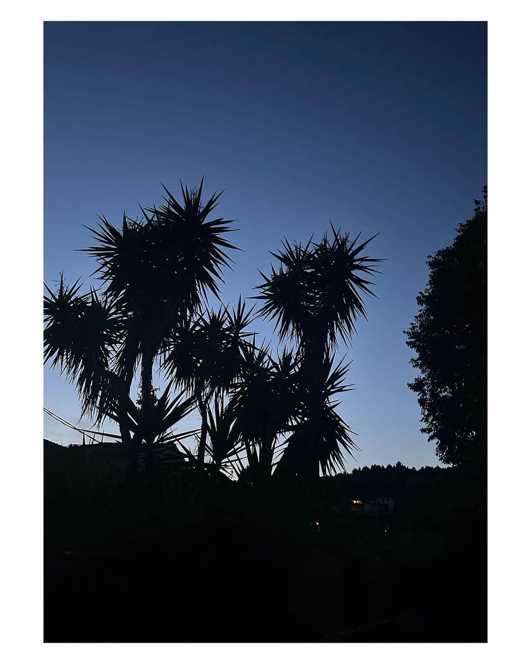 リカさんのインスタグラム写真 - (リカInstagram)「Natural Rhythms 🏝️🧡🌵  A visit to @hotelcorazon . Love the artistic vibe @katebellm and her husband Edgar Lopez created in their 15 Room Finca .  A artistic Retreat we don’t want to leave .Veggies from the crazy beautiful garden gazpacho yes perfect and the most delicious dark chocolate mouse on the menu .  #mallorca #hotelcorazon #💛 #creativeminds #art #artistic-retreat #travelgreen」8月20日 16時36分 - rikastudios_