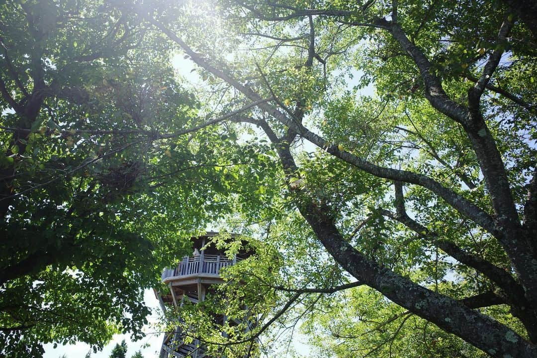 内山理名のインスタグラム：「今日は朝から自然の中で身体を動かしてきました🏜️   あ〜気持ちいい。  自分の腕を見て日焼けしたなぁと、夏らしいこの肌の色がちょっぴり嬉しかったりする。ケアはします🌿」