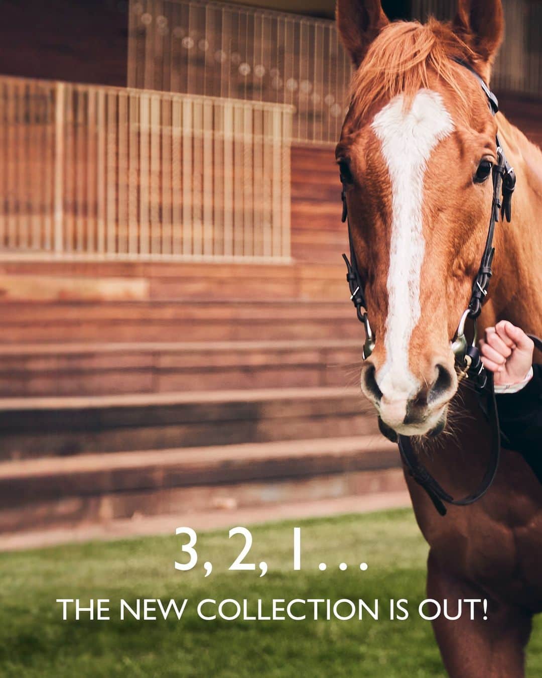 のインスタグラム：「A Sunday at the hippodrome.  Collection: #LongchampFW23 Photographer: @guillaumesanner  #longchamp #newcollection #horseracing #french #horse #hippodrome #sundaymood」