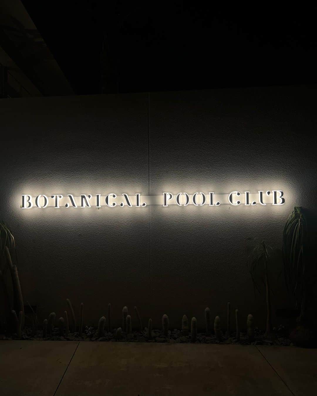 関本香里さんのインスタグラム写真 - (関本香里Instagram)「ㅤㅤㅤㅤㅤㅤ 千葉の安房郡の高台に位置する 📍Botanical pool club ㅤㅤㅤ まるで海外のホテルに泊まっているような気分に。  サンセットを見ながらプールサイドで お酒を飲んだりプールに入ったり🍸  時間を忘れる非日常な空間が広がってた😌 ㅤㅤㅤ @botanicalpoolclub #ホカンス #ホテル #BPC #botanicalpoolclub」8月20日 17時28分 - kaori_sekimoto_