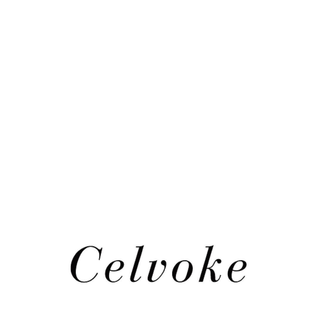 celvoke.jpのインスタグラム