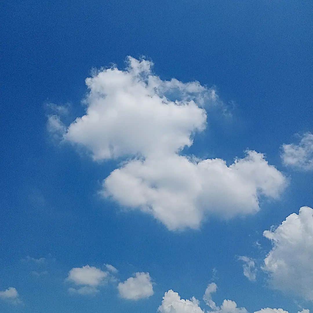sweet_strawberryさんのインスタグラム写真 - (sweet_strawberryInstagram)「☁✏️【🐶 USJ派？】【🐭 TDL派？】 🏠これはスヌーピーだ！ってすぐ思った。 🏰ホラーなミッキー💦(無理やり感) · #雲アート#それにしか見えない #空を見上げるのが好き#空を見上げて#今日の空#今日の雲#空模様#雲#空#いたずら書き#スヌーピー#カメラ部#レンズ越しの私の世界#日常写真#日々の暮らしを楽しむ」8月20日 18時08分 - sweet_strawberry