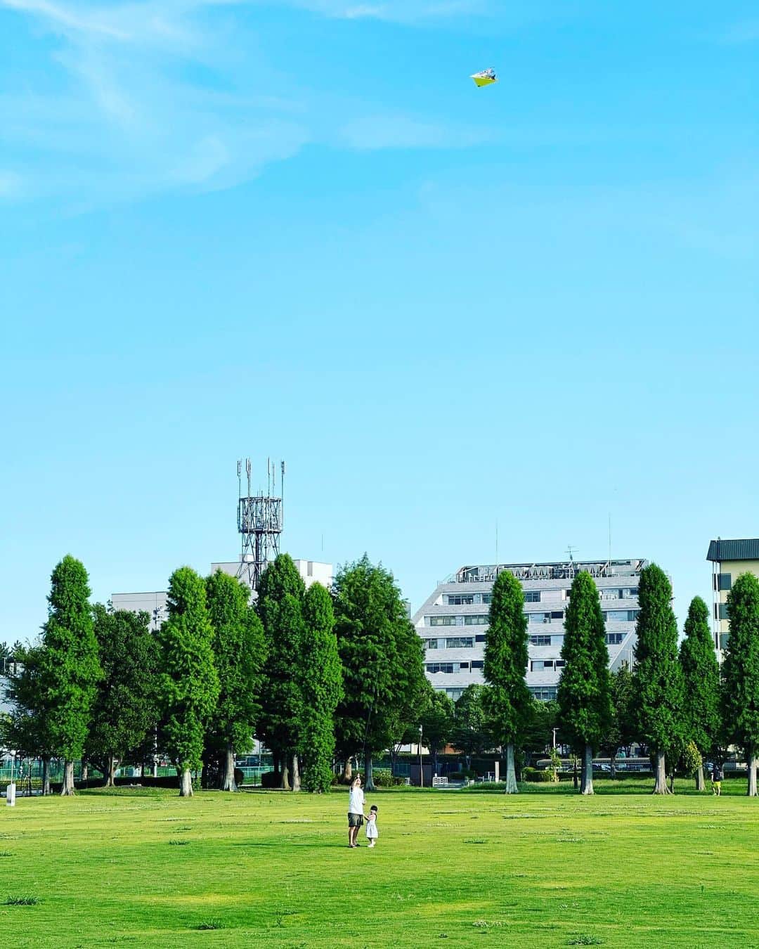 松浦新のインスタグラム：「凧揚げ。#family #holiday #park #nature #kiteflying」