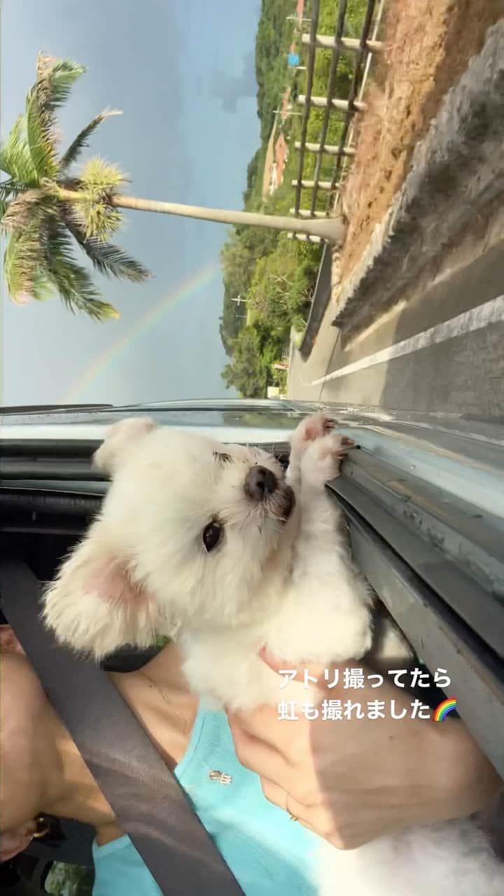 はなざわあさこのインスタグラム