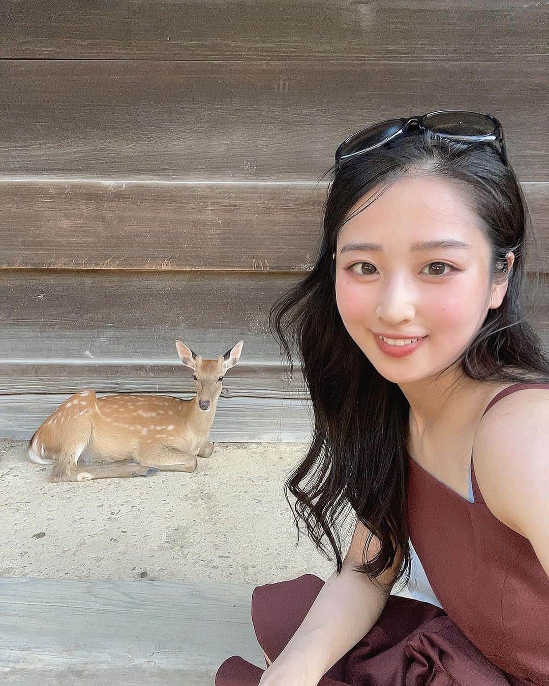MAIのインスタグラム：「カメラ目線の 子鹿ちゃんと🦌  中学ぶりに 奈良の東大寺にお邪魔しましたが いやぁ、年取ると物の見方は変わるわねぇ。  #奈良　#鹿　#東大寺」
