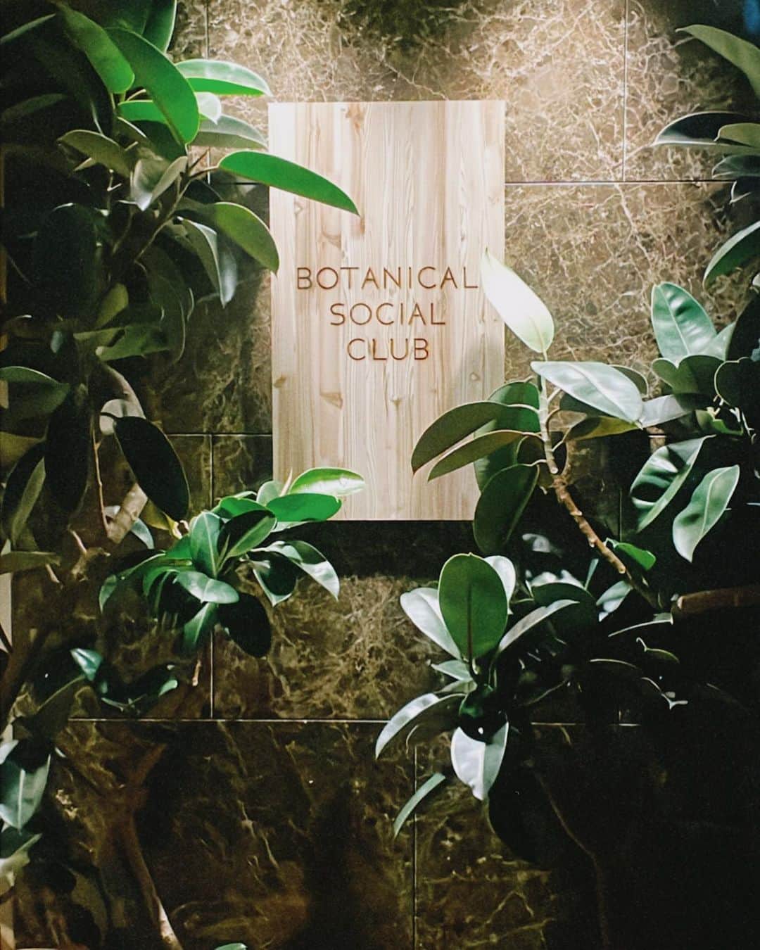 橋本香澄さんのインスタグラム写真 - (橋本香澄Instagram)「. 🌴🥂🦩⛓️🎟️ @aoyamagrand  . #birthday #birthdayparty #dinner  #theaoyamagrandhotel #20f #botanicalsocialclub #party」8月20日 19時23分 - _jasmine_tete_