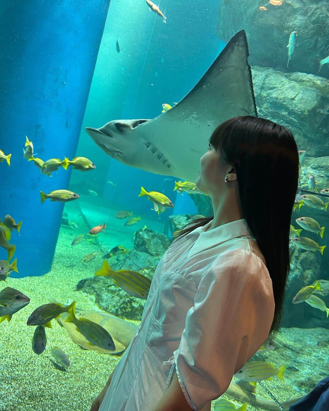 中山莉子のインスタグラム：「→ 安本さんと小林さんと水族館へ行ってきました🐟 ⁡ #水族館 #品川 #アクアパーク品川」