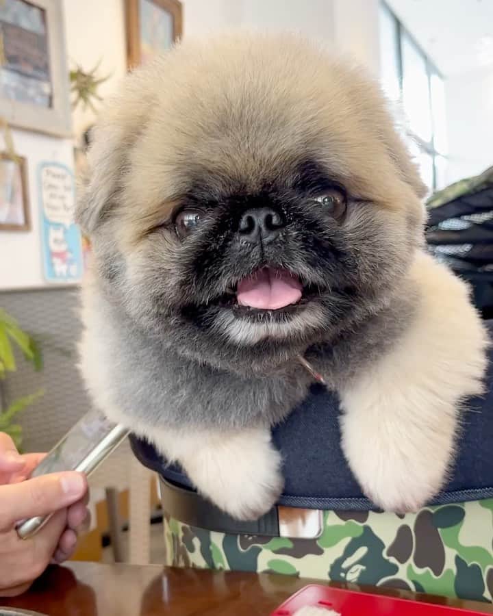 いぶそらのインスタグラム