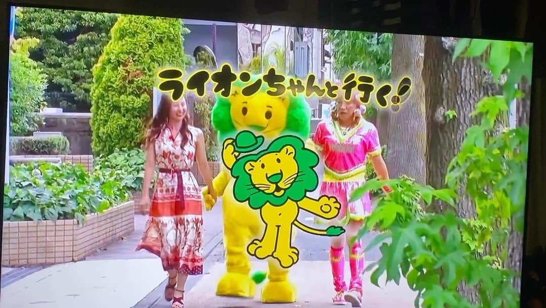 沖縄ダイニングゆんたくのインスタグラム：「先日いつもお世話になっているゴリさんの おかげで、昼の情報番組ぽかぽかにご紹介 していただきました！！  ティーバでまだ観れるそうなので 是非見てやってください！！」
