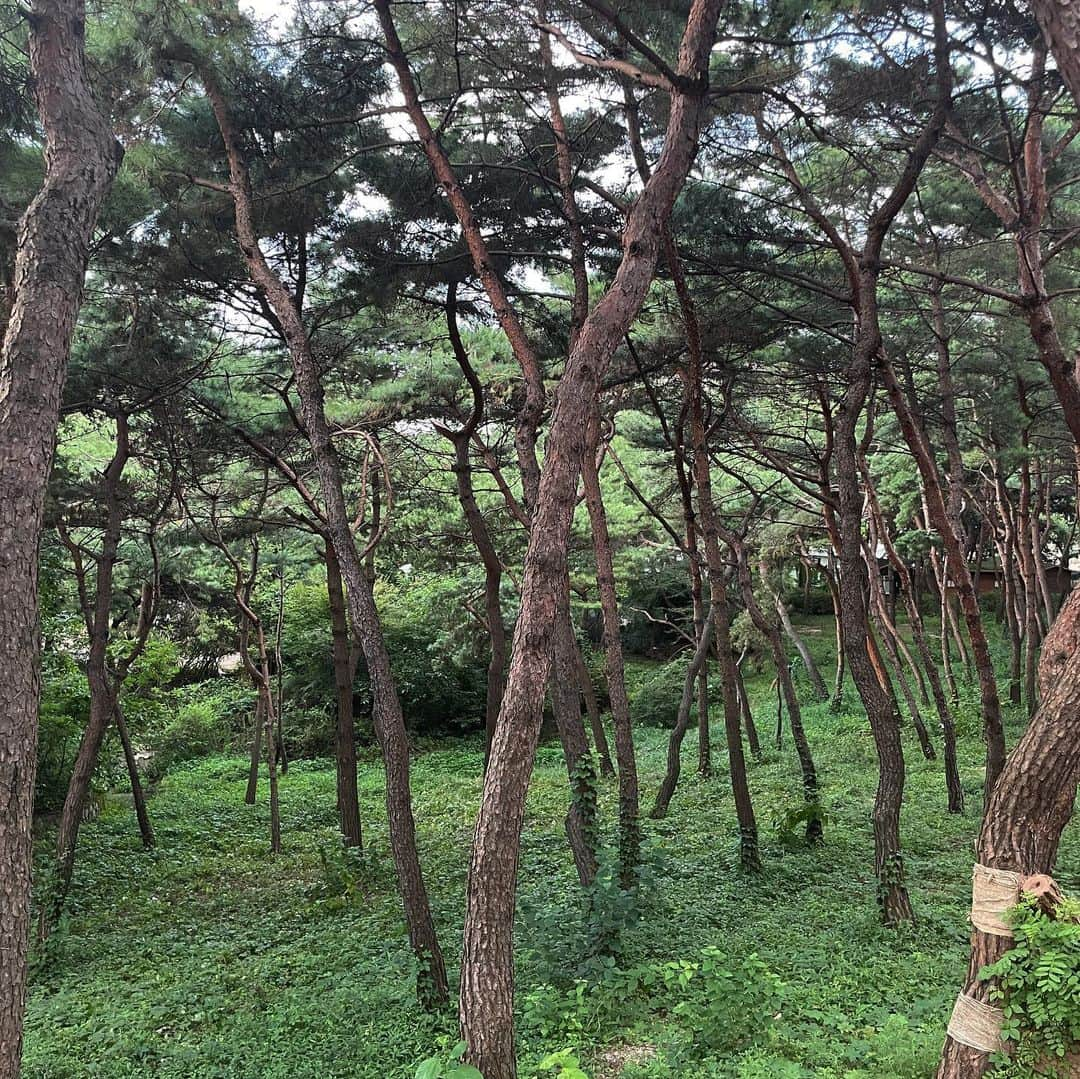 カン・ビョルさんのインスタグラム写真 - (カン・ビョルInstagram)「나는 자연인이다 🌿🌲(태닝 안했음…)」8月20日 20時22分 - kangstar89