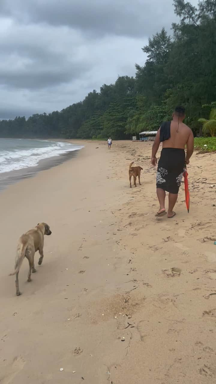 ジェイデン・トア・マクスウェルのインスタグラム：「平和•Peace ☮️   🏝️ + 🐶」