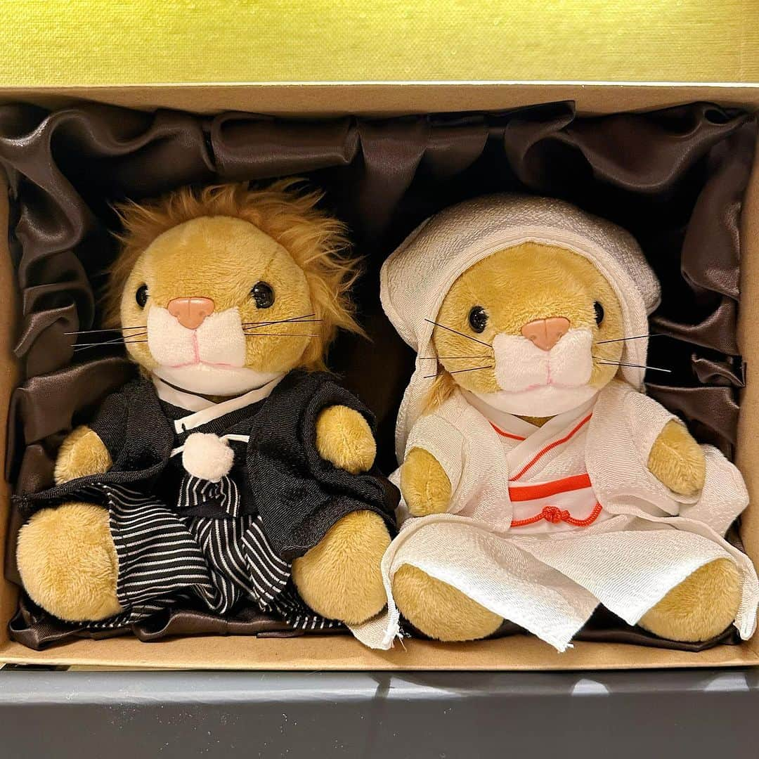 ベリッシモ・フランチェスコさんのインスタグラム写真 - (ベリッシモ・フランチェスコInstagram)「Lions moment🦁💕  #ベリッシモ #料理研究家 #料理研究家ベリッシモ #リッツカールトン大阪 #ritzcarltonosaka #ritzcarlton #luxurylifestyle #luxury #vitamondana #bellavita #ladolcevita #osaka #osakatravel #ritzcarltonlion #lions #ぬいぐるみ #ライオン #かわいい #kawaii #rizzecarton #japan #japantravel #lifestyle #luxuryhotel #francescobellissimo #cheflife #芸能人 #外国人タレント #高級ホテル #大阪大好き」8月20日 20時43分 - bellissimoyoshi