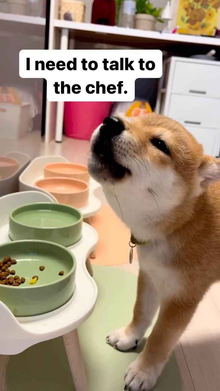 のインスタグラム：「😋😋 @dukheedukgil51 実に美味しい！ シェフを呼んでくれるかな？  #要保存レベル」