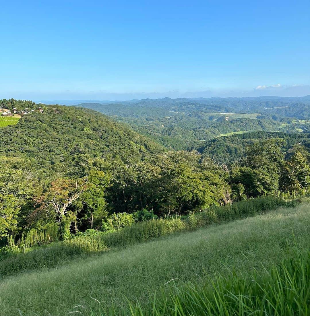 岡田蓮さんのインスタグラム写真 - (岡田蓮Instagram)「I love nature🌳🍃」8月20日 21時11分 - ren.479