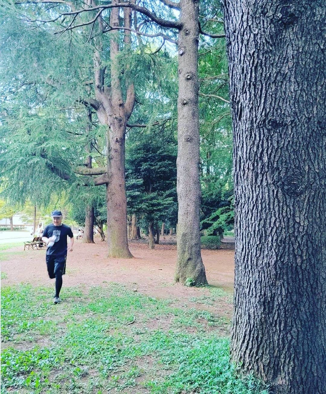 パッパラー河合のインスタグラム：「カナダの森林地帯に見えますが真っ昼間の代々木公園です。クリール編集部とランニングです。ムチャ暑いので当然ですけどランナーはほとんど居ません。だがオレ達は走るぜッ！熱中症に挑戦状を叩きつけるスタイルです。  #代々木公園 #クリールラン」