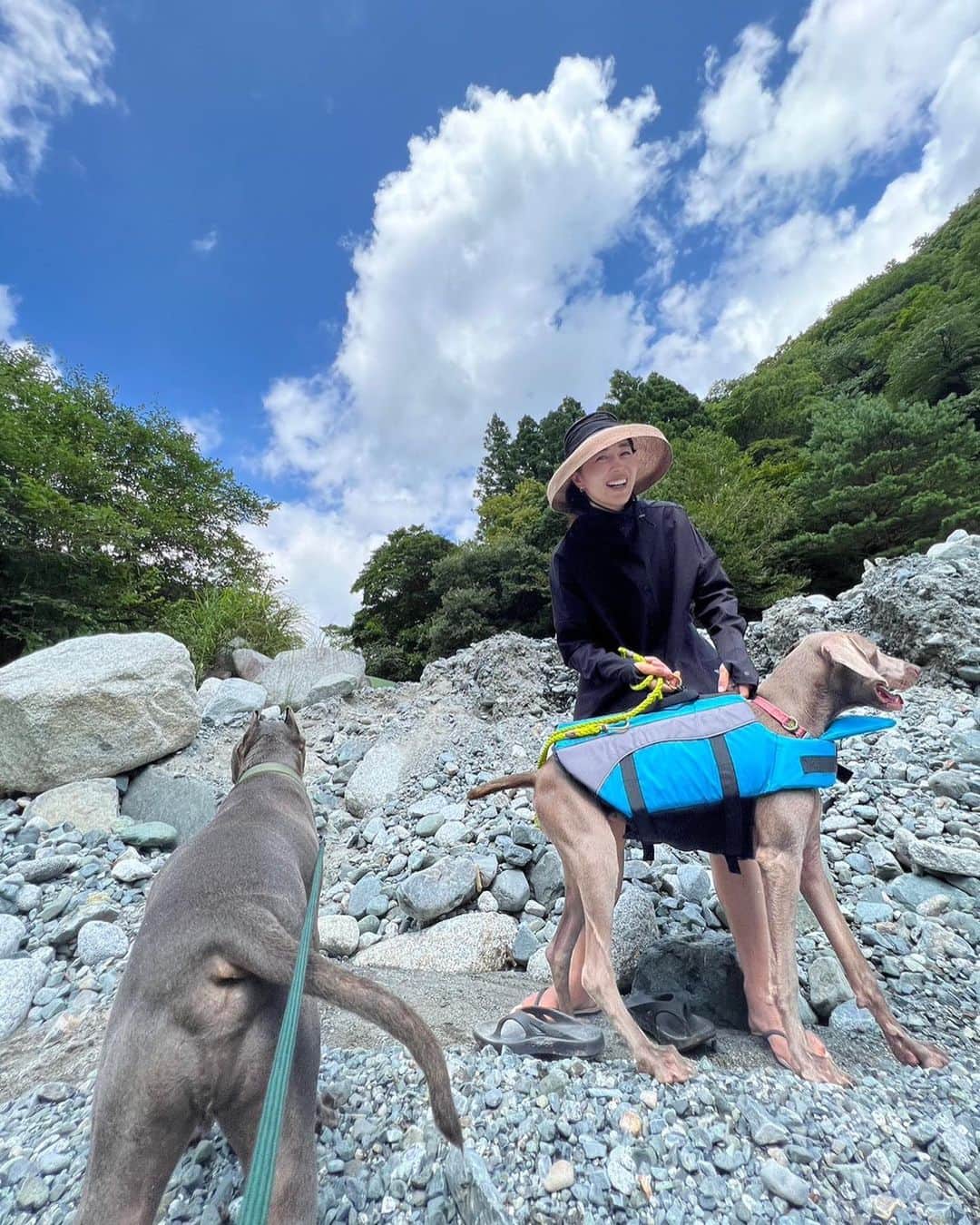 鈴木六夏のインスタグラム：「🦮🦮💜」