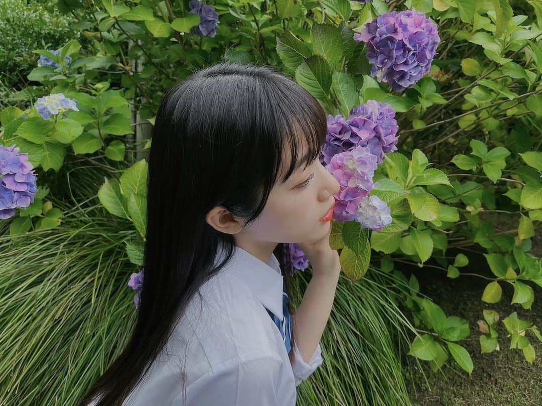 桜木心菜のインスタグラム：「💜🍃」