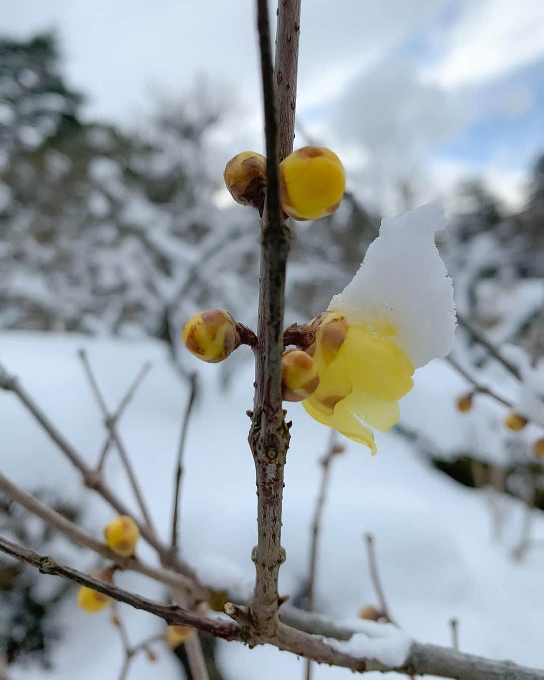 眞嶋秀斗のインスタグラム