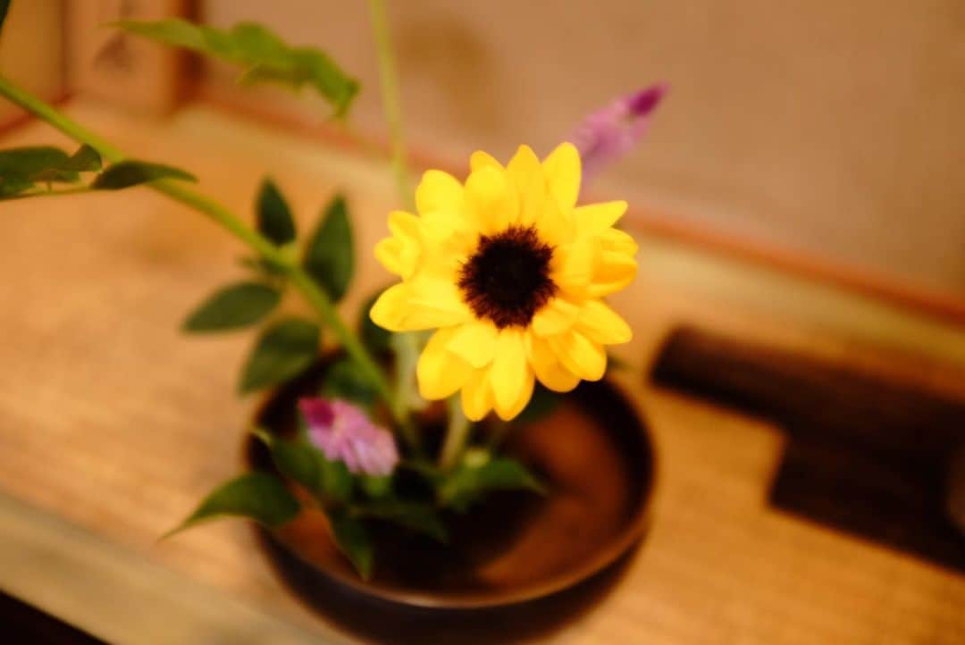 真奈さんのインスタグラム写真 - (真奈Instagram)「ikebana life💐  #꽃꽂이　#生け花 #生けまな　#ikebana」8月20日 22時16分 - manatmnt0116