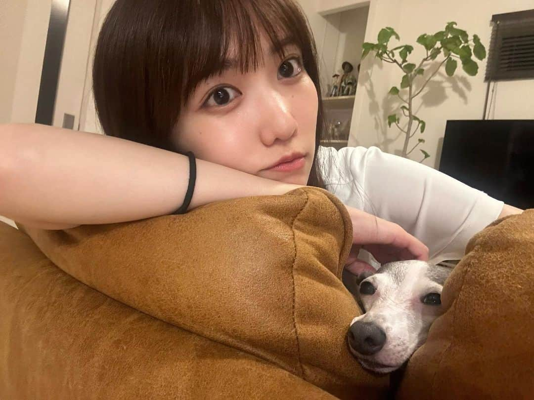 大槻アイリのインスタグラム：「相棒🐶👍🏻✨✨🌼 ちょうどいいところにフィットしてて超かわいい...🫸🏻🐶🫷🏻」