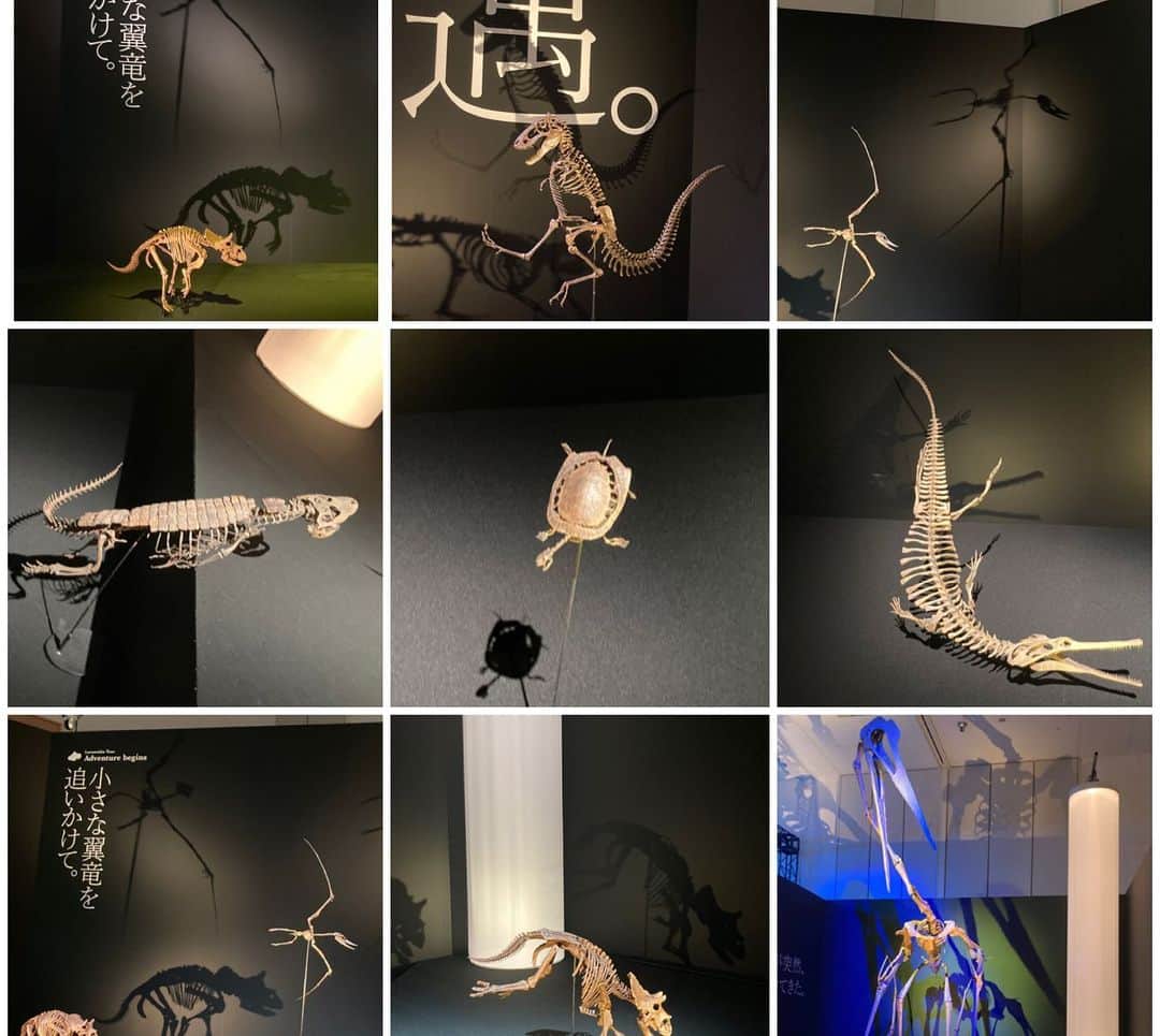 東ちづるさんのインスタグラム写真 - (東ちづるInstagram)「DinoScience 恐竜科学博 2023  東京・六本木「東京ミッドタウン」 最新科学に基づいて恐竜の生きていた世界を体感できる展示。 恐竜ファンは勿論、東京で遊ぶ・働く人たちも楽しめるサイエンス・エンタテインメント！  ヤナギマンさんのお誘いで、ヤナギマンさんファンのGet in touch 理事のアサヤンと。 恐竜と遊んだあとは、Getが制作する映画の音楽の打ち合わせ！  大人っておもしろい！！おもしろ過ぎる！  ＃恐竜 #getintouch」8月20日 22時27分 - azuma.chizuru